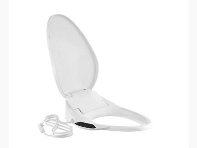 Bidet Seat