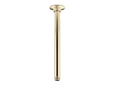 Shower Arm