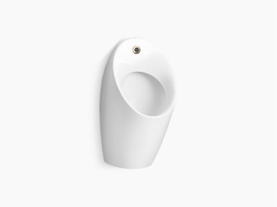 urinal
