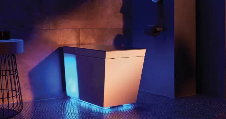 intelligent toilet